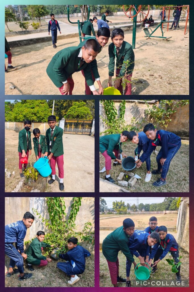 Campus Life & Environmental Drives